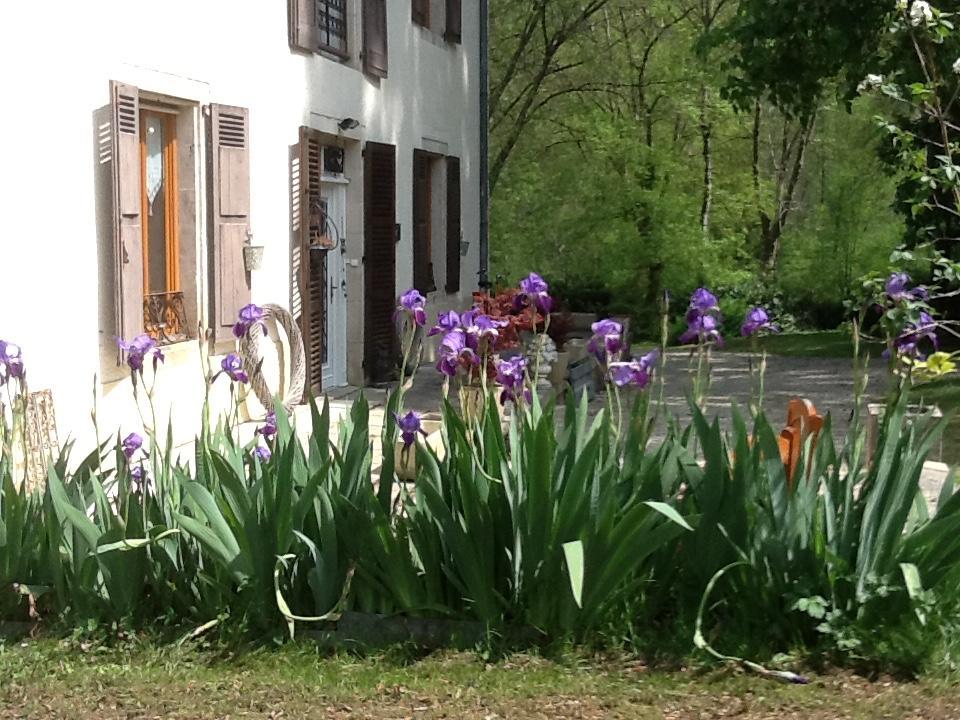Bed and Breakfast Domaine La Rose Caylus Экстерьер фото